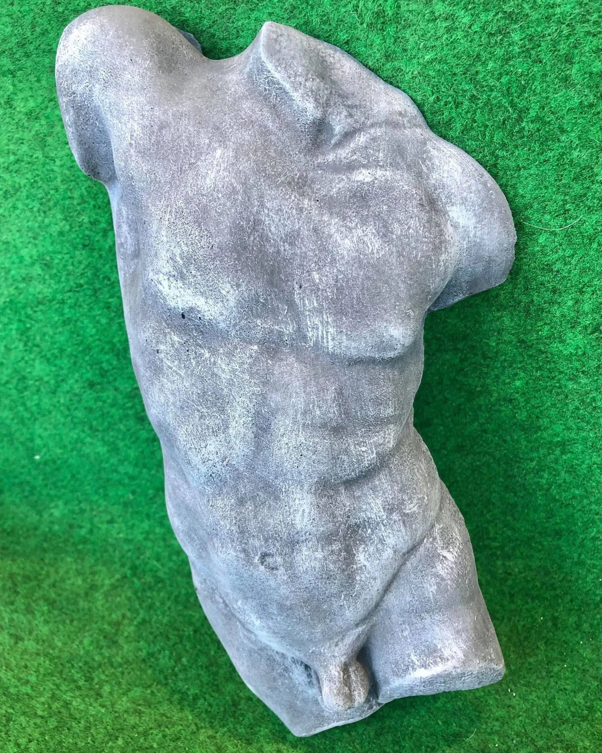 Male Front Body Hanging Torso