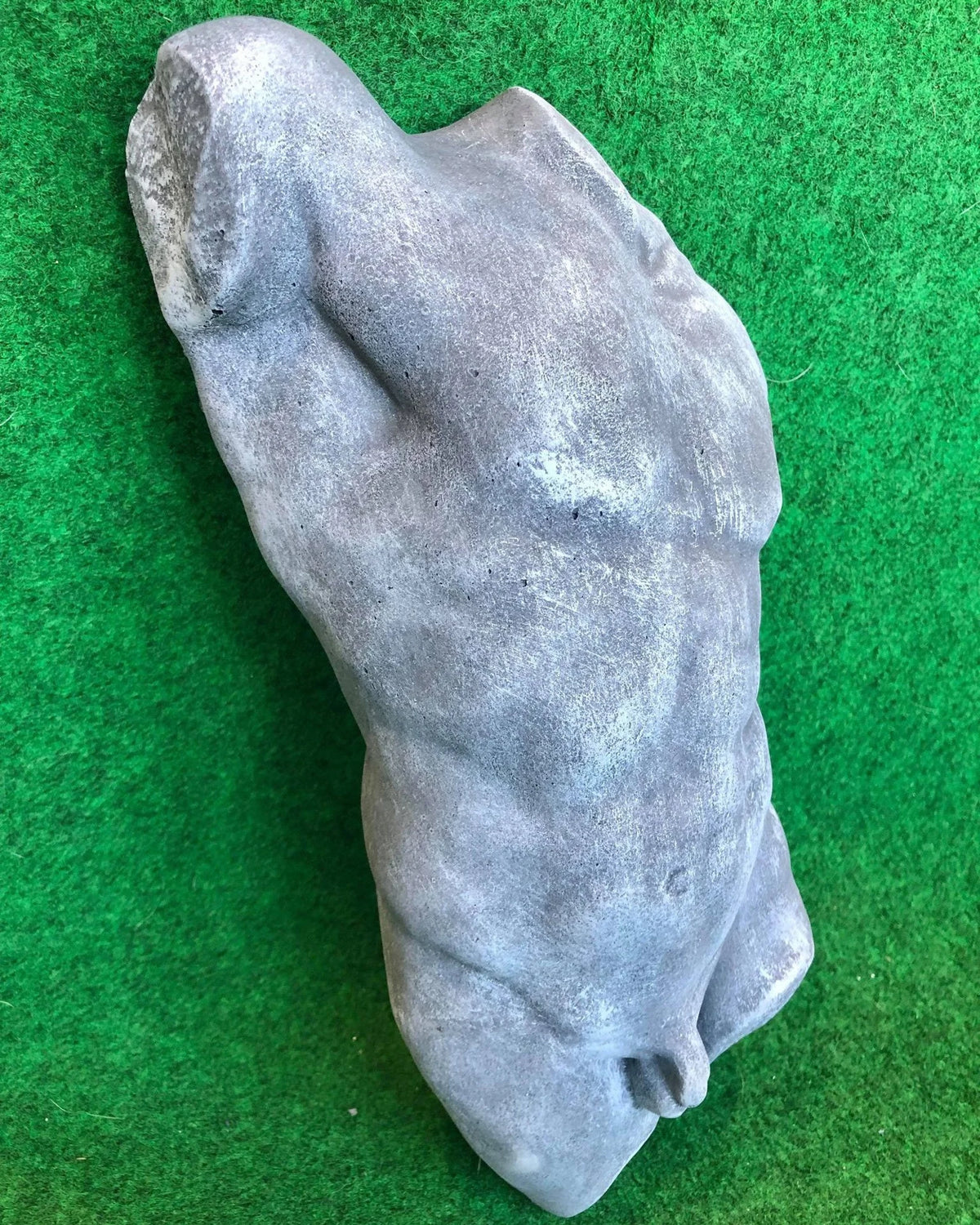 Male Front Body Hanging Torso