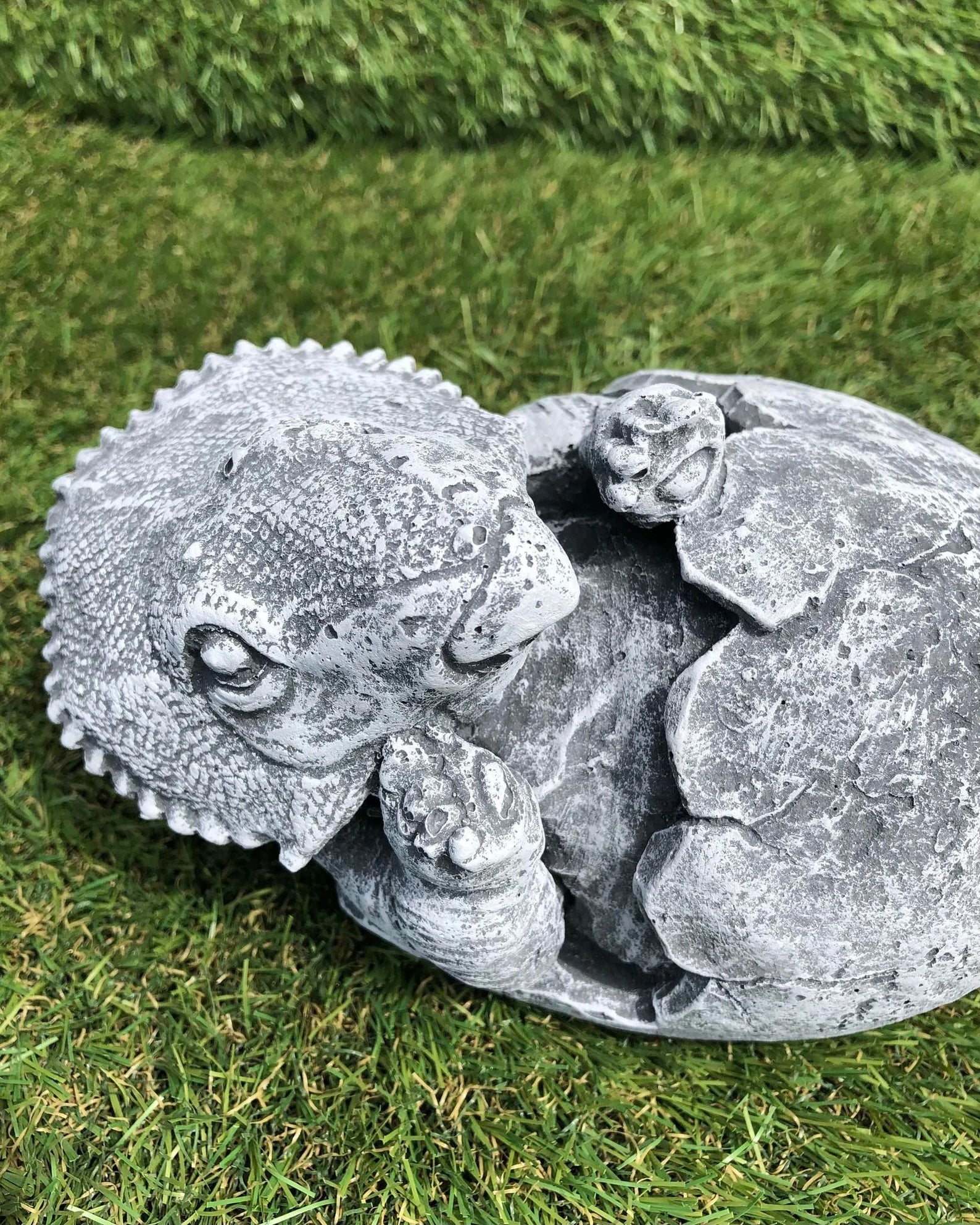 Concrete Triceratops Hatching Dinosaur Egg