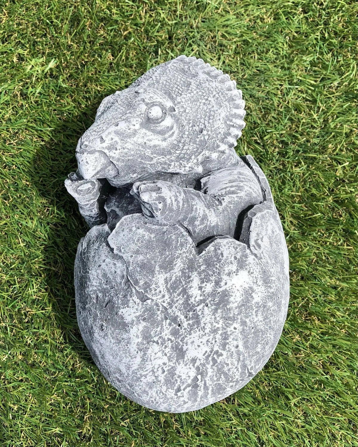 Concrete Triceratops Hatching Dinosaur Egg