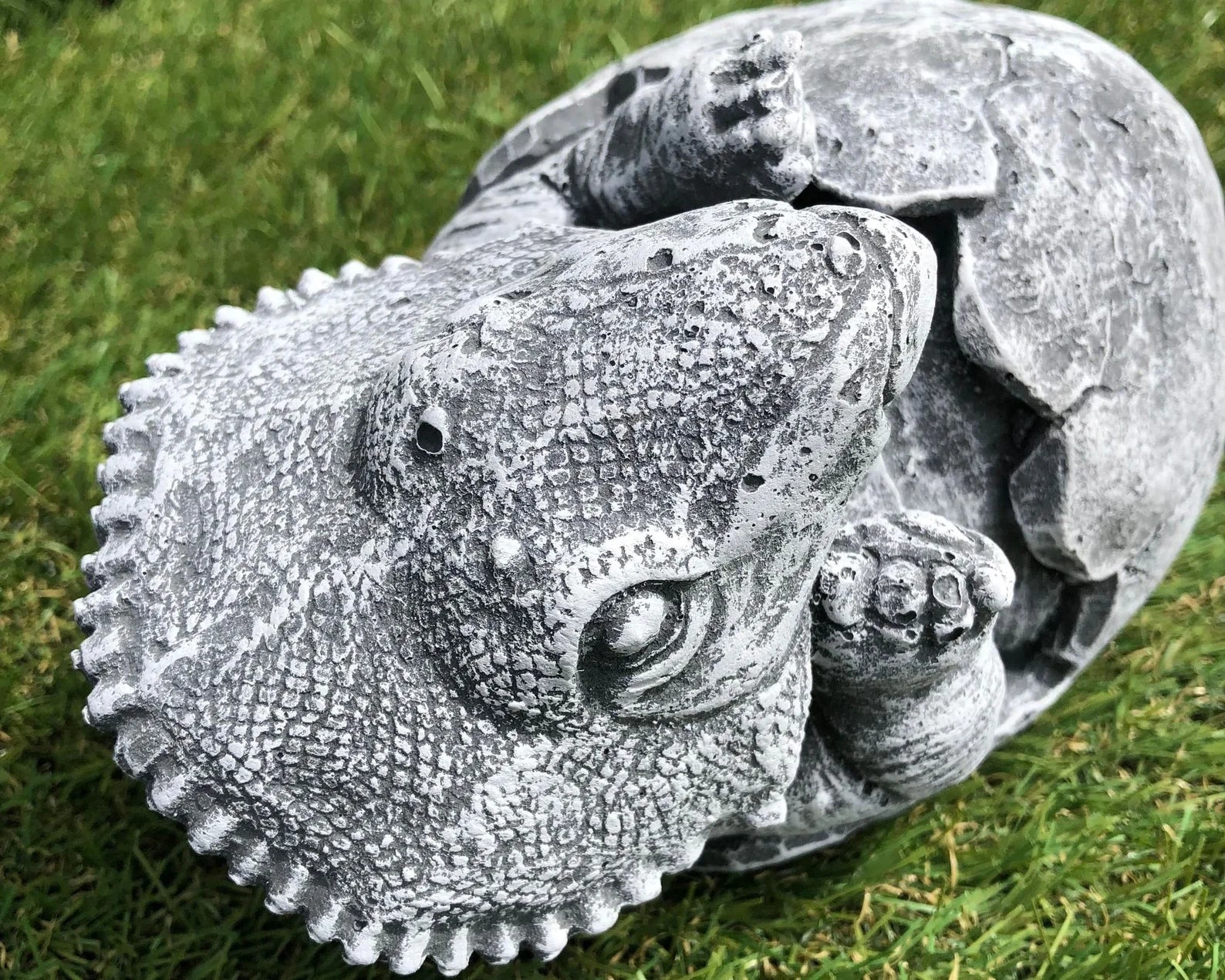 Concrete Triceratops Hatching Dinosaur Egg
