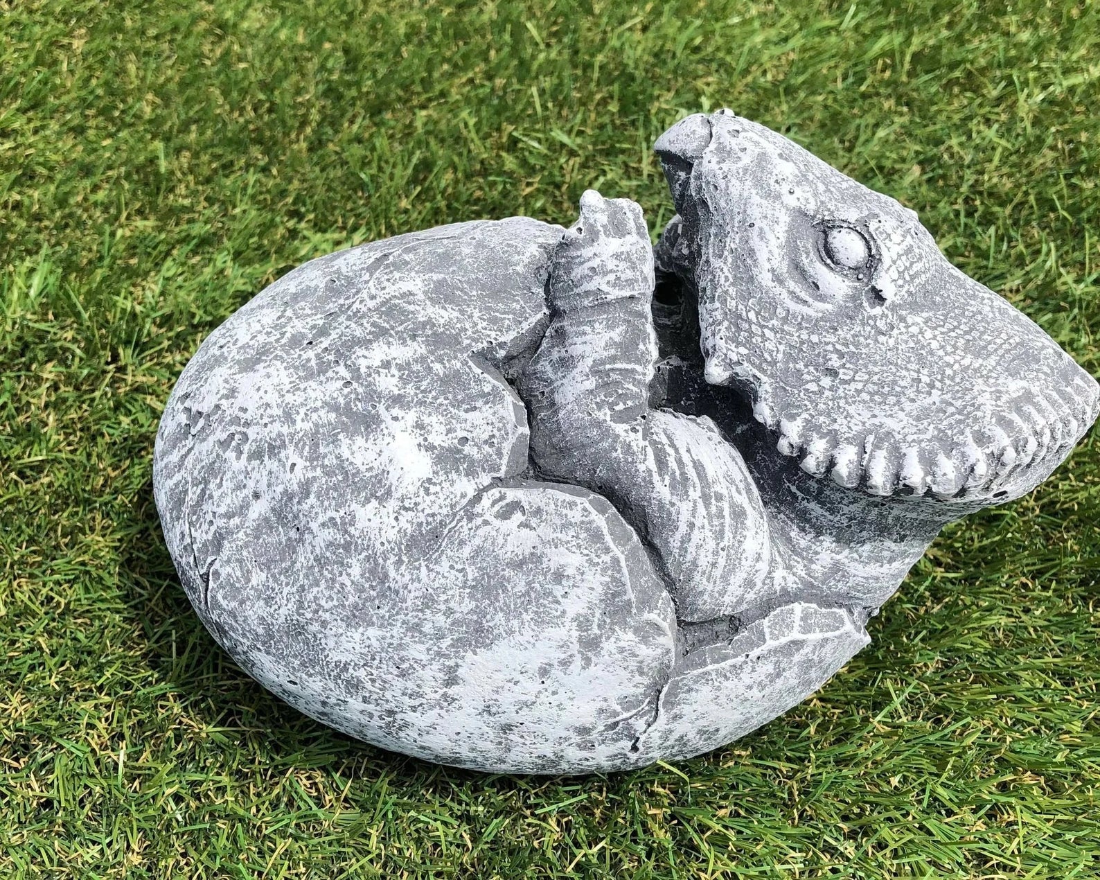 Concrete Triceratops Hatching Dinosaur Egg