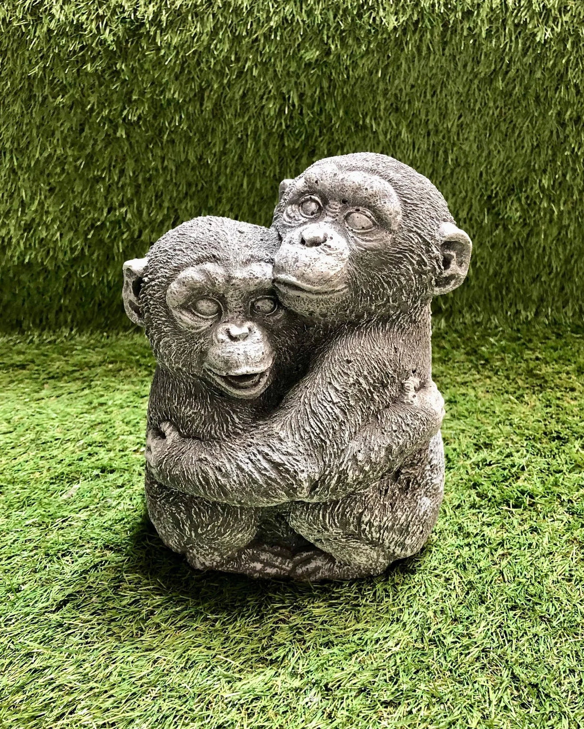 Cuddling Monkeys