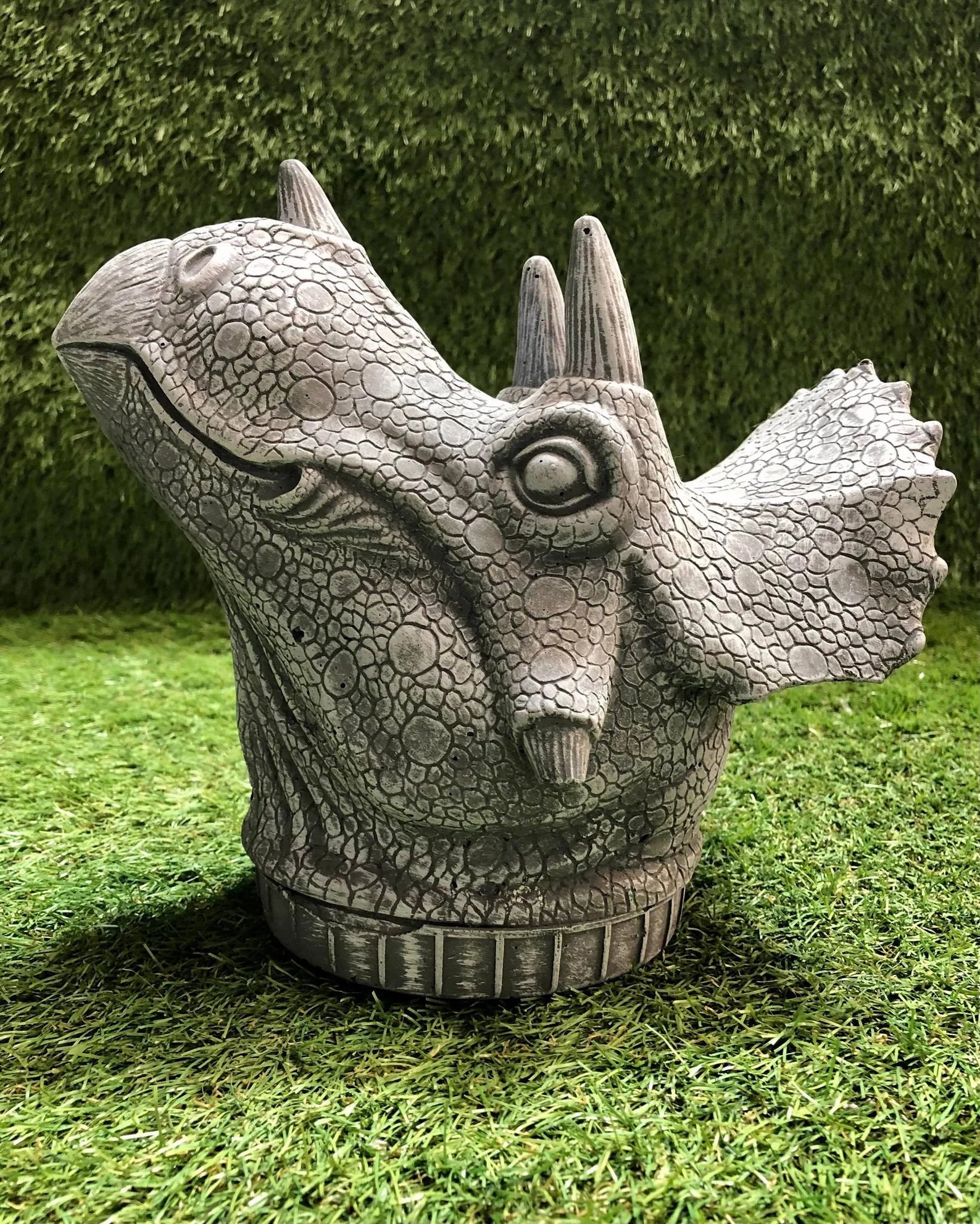Concrete Triceratops Head