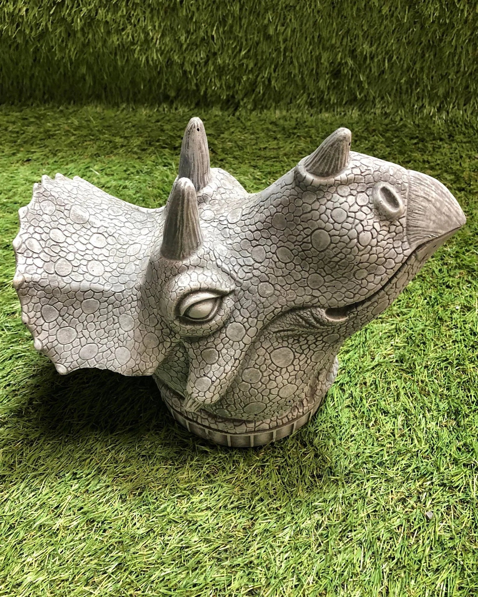Concrete Triceratops Head