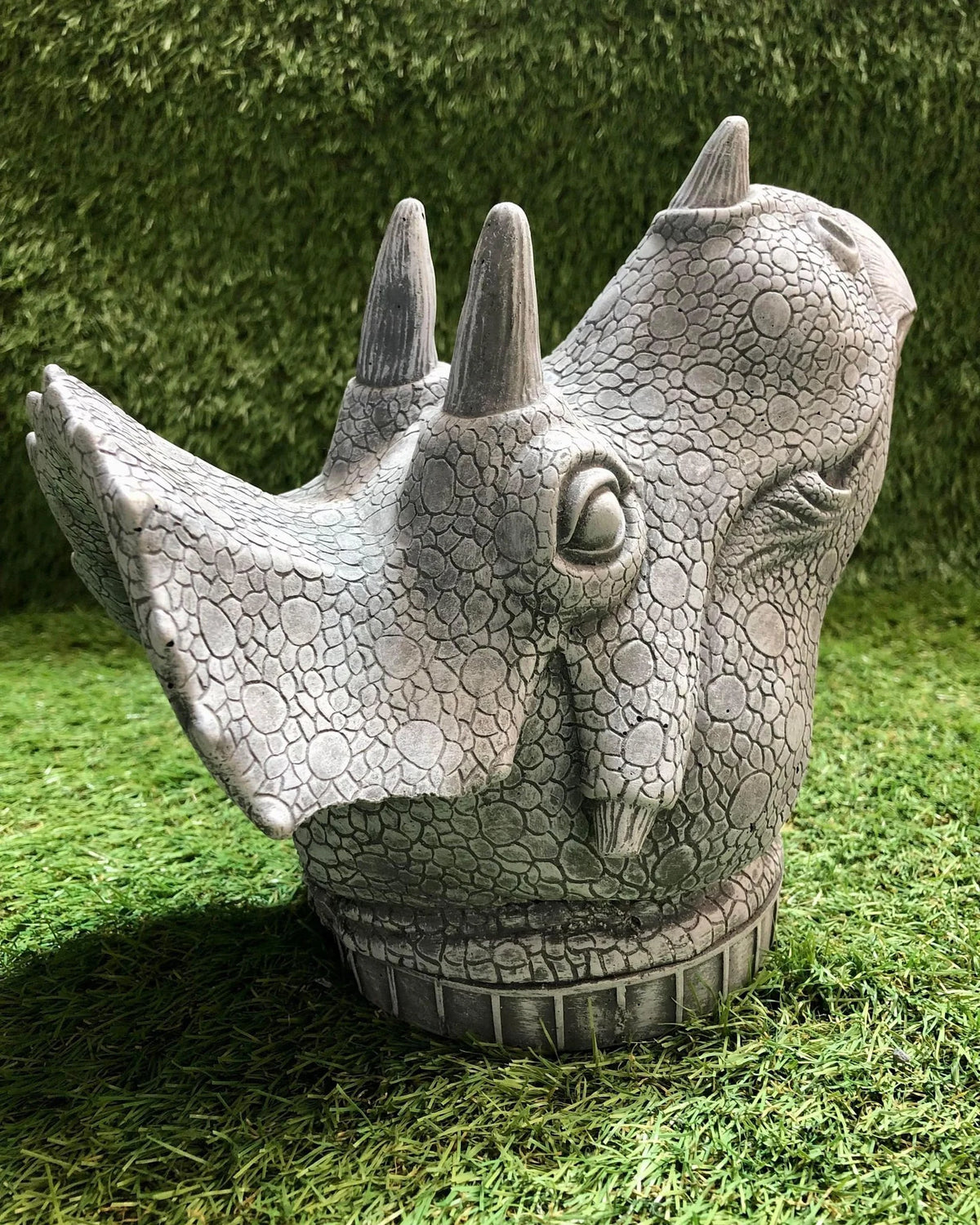 Concrete Triceratops Head