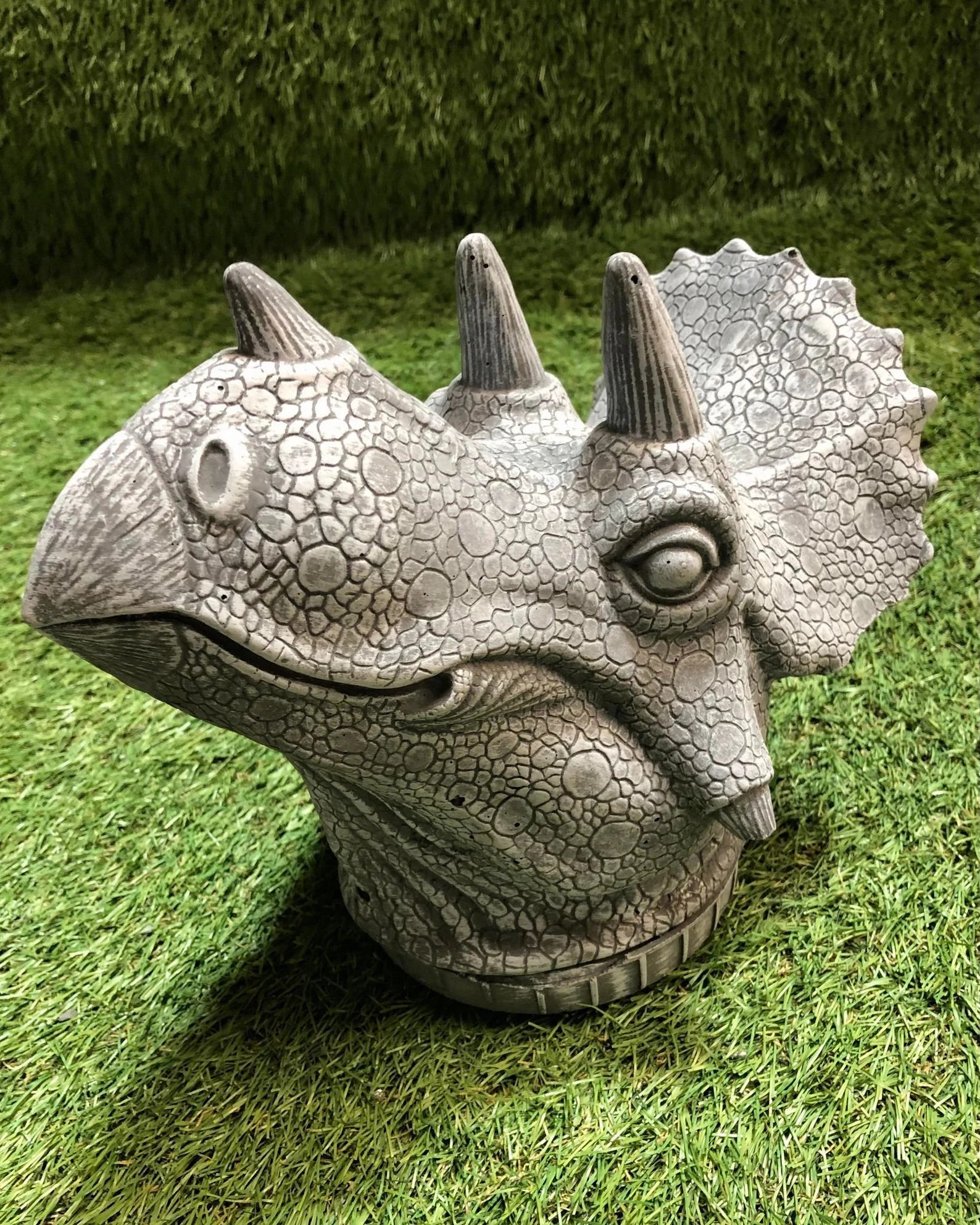 Concrete Triceratops Head
