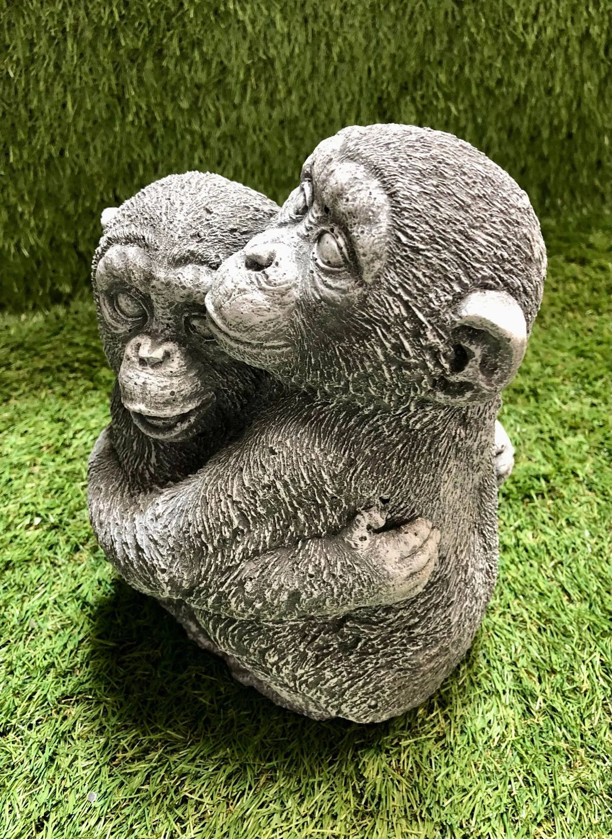 Cuddling Monkeys
