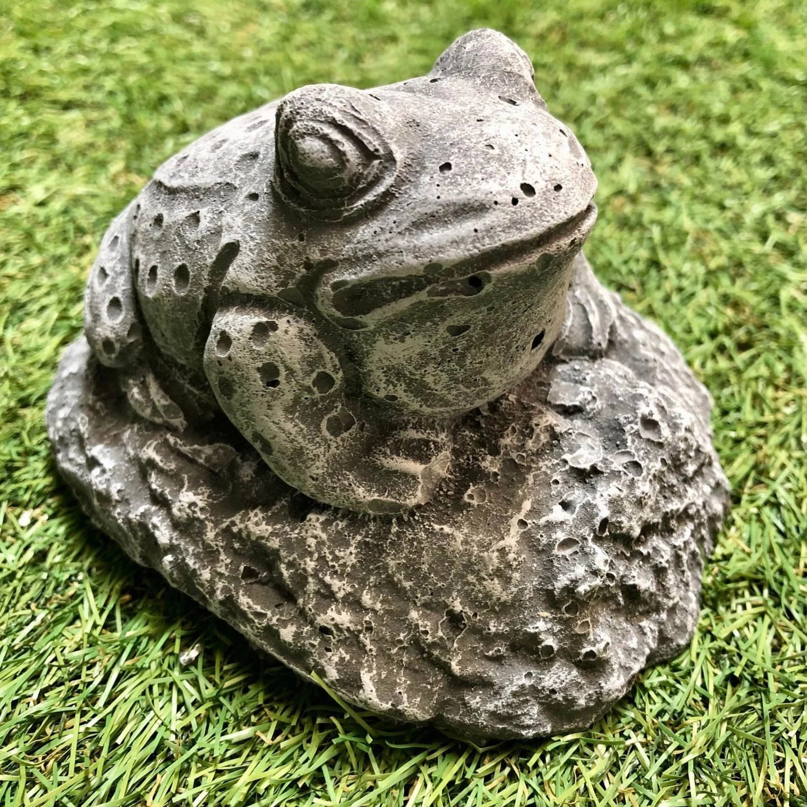 Small Frog Sat Down