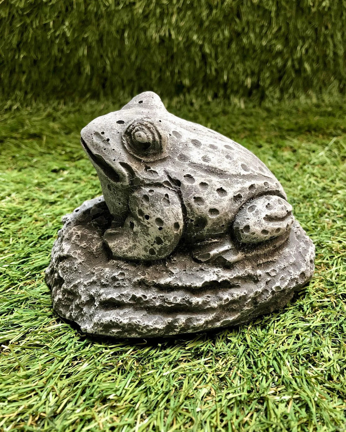 Small Frog Sat Down