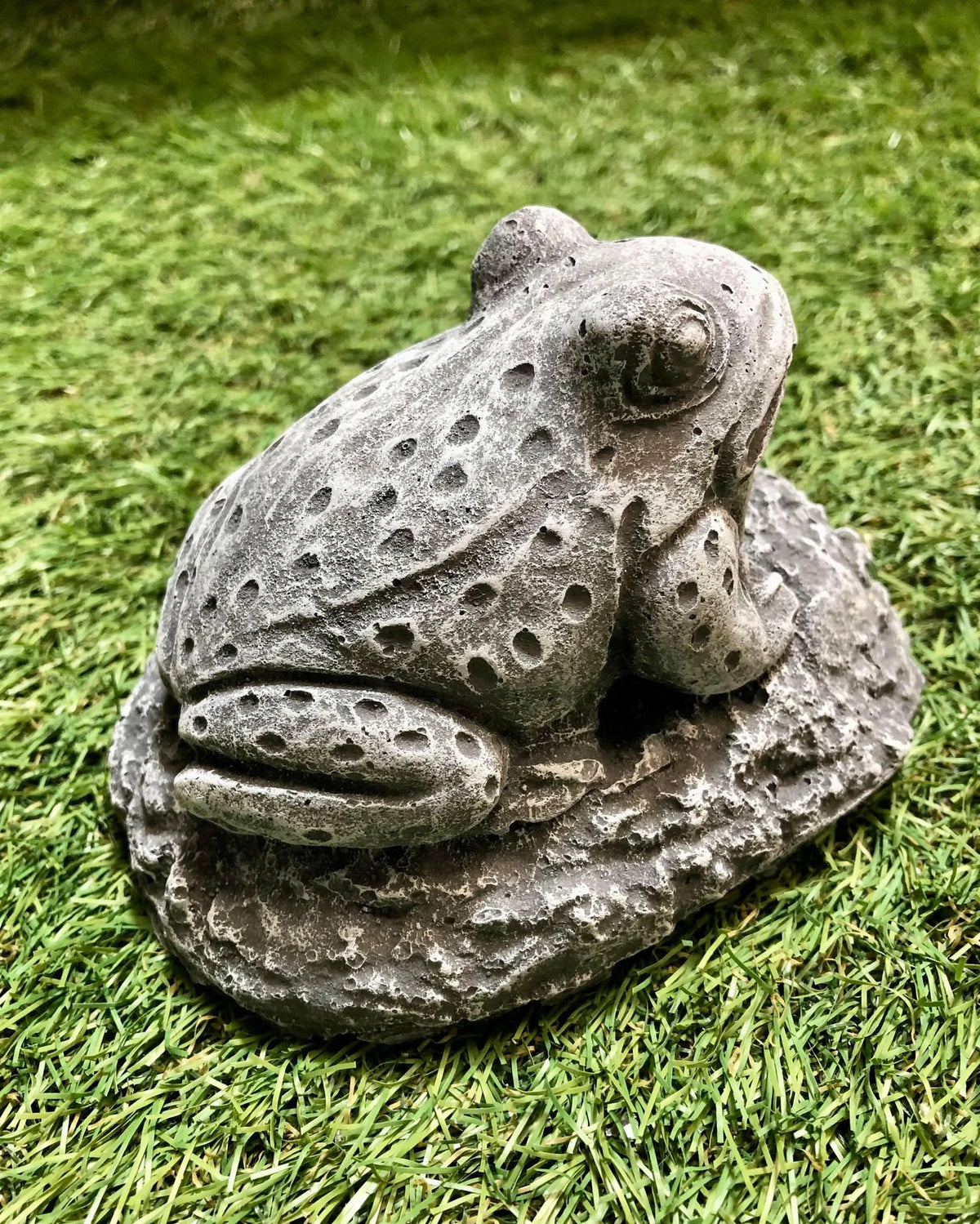 Small Frog Sat Down