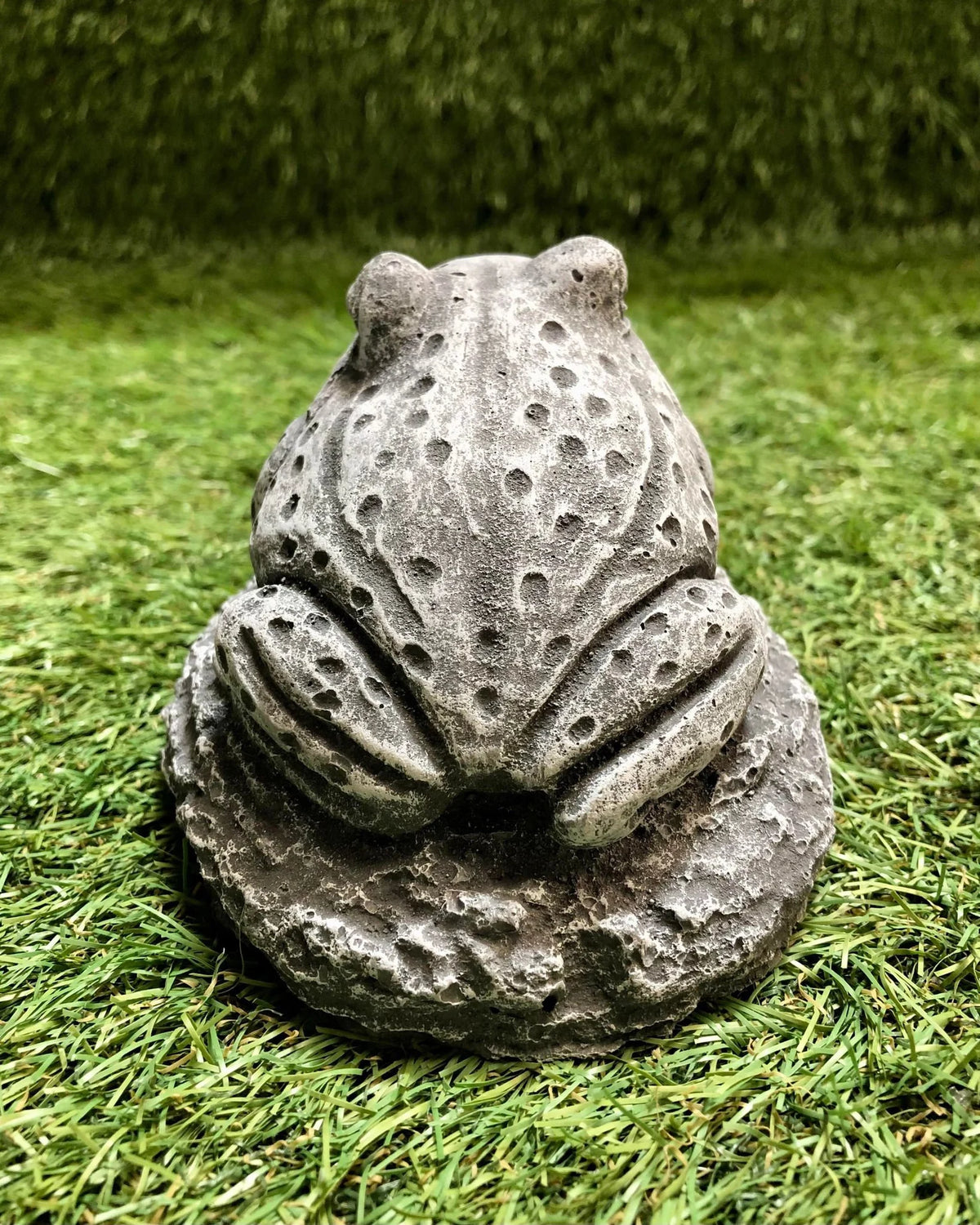 Small Frog Sat Down
