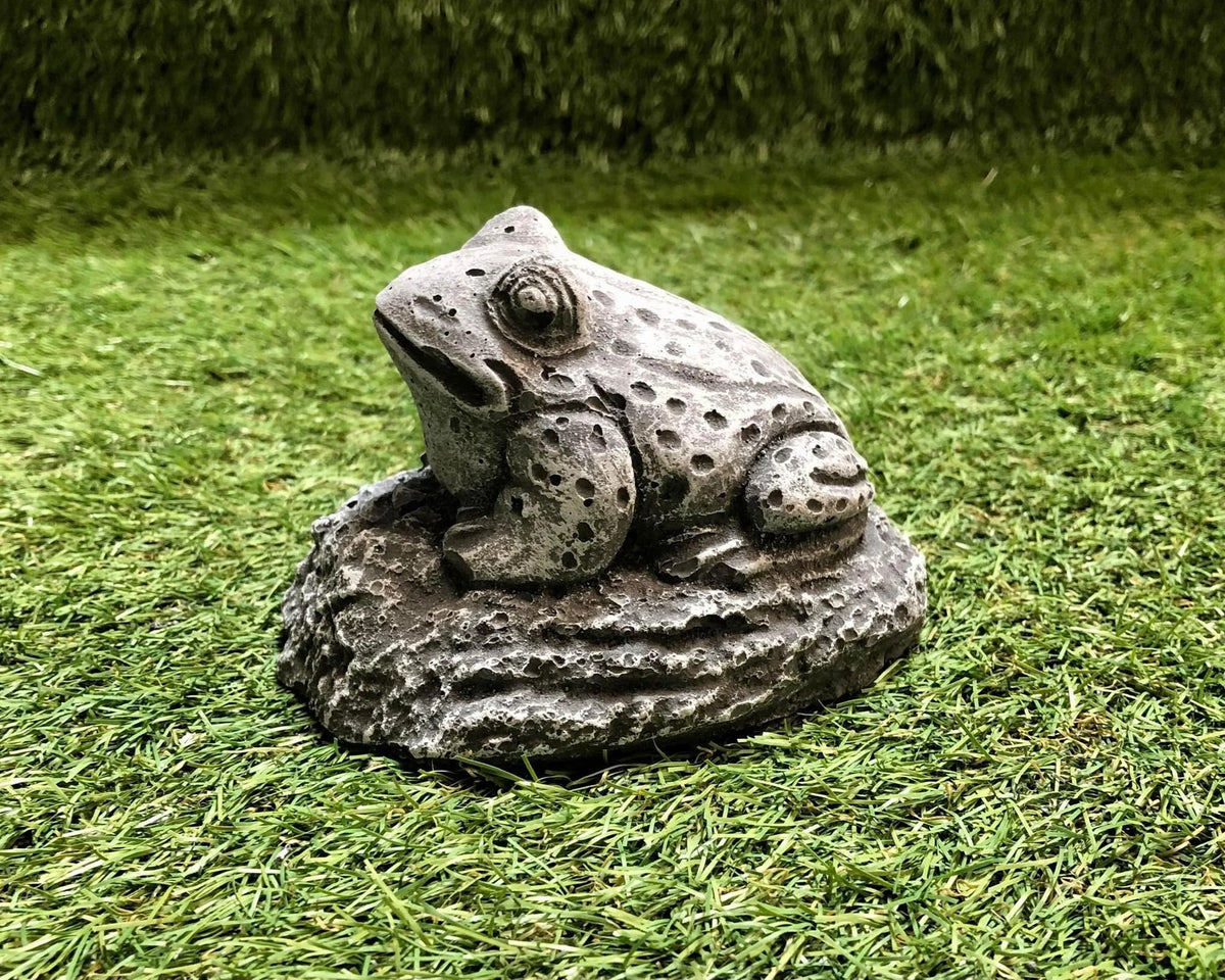 Small Frog Sat Down