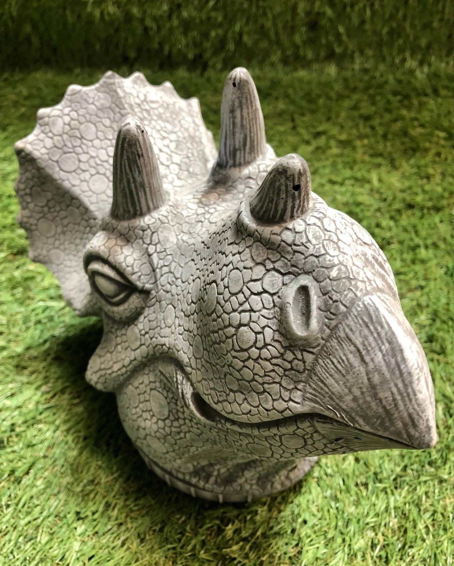 Concrete Triceratops Head