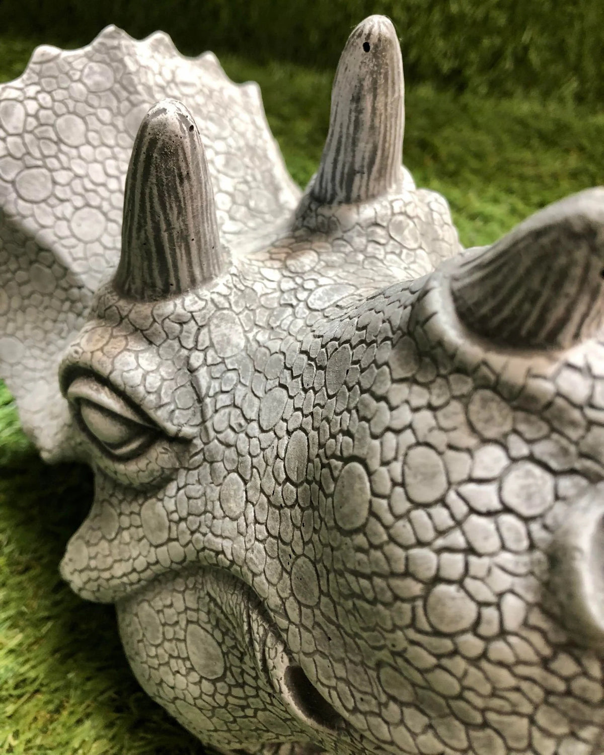 Concrete Triceratops Head