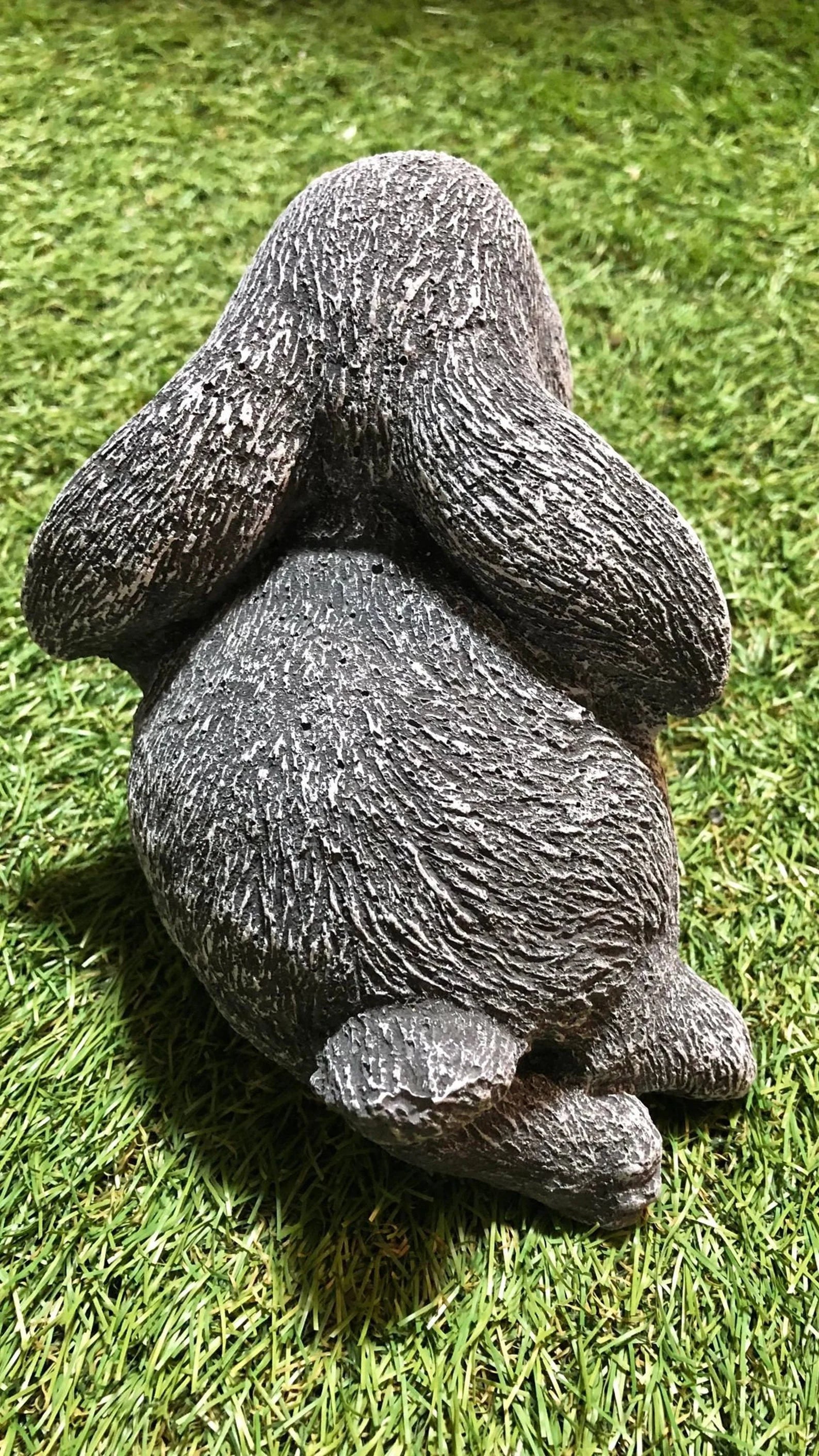 Small Bunny Rabbit