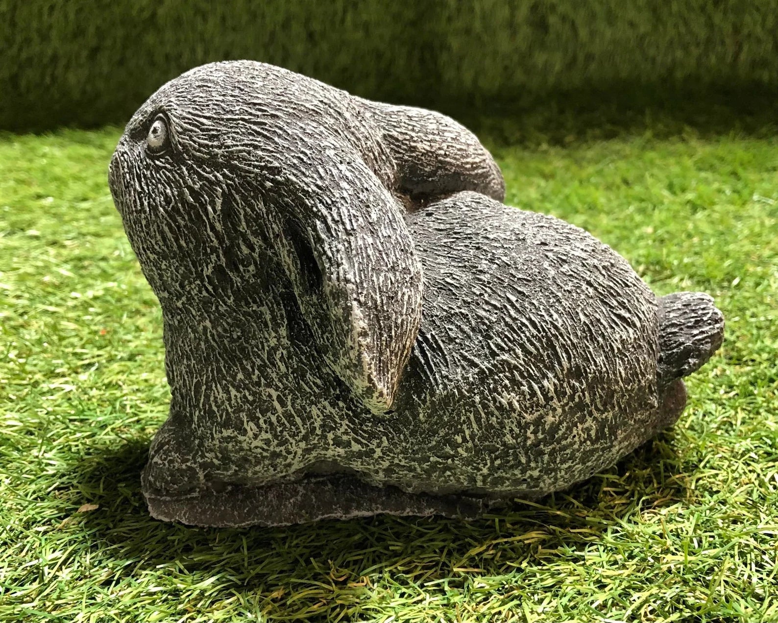 Small Bunny Rabbit