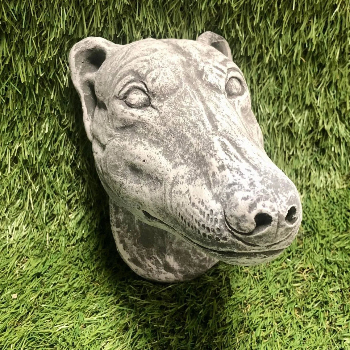 Greyhound Head Wall Plaque
