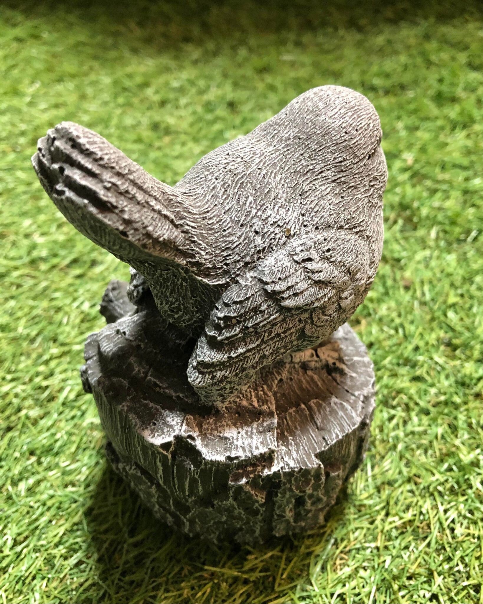 Small Robin On A Stump