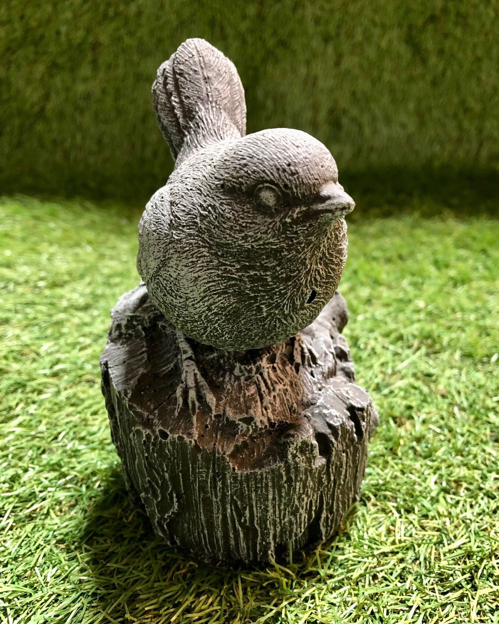 Small Robin On A Stump