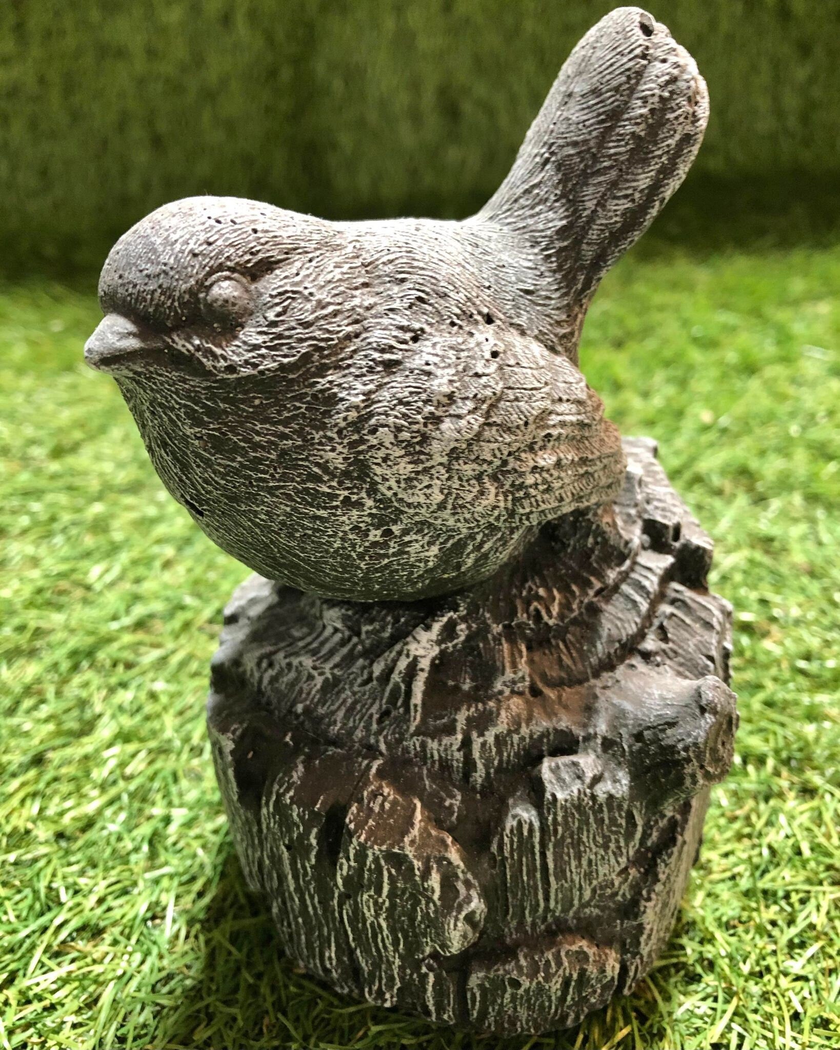 Small Robin On A Stump