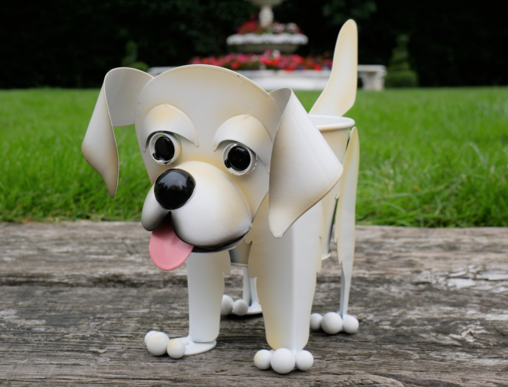 Labrador Planter