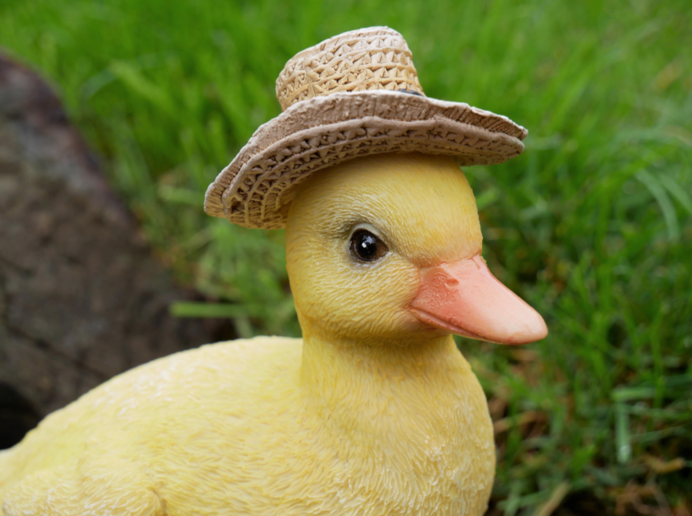 Duckling With Hat