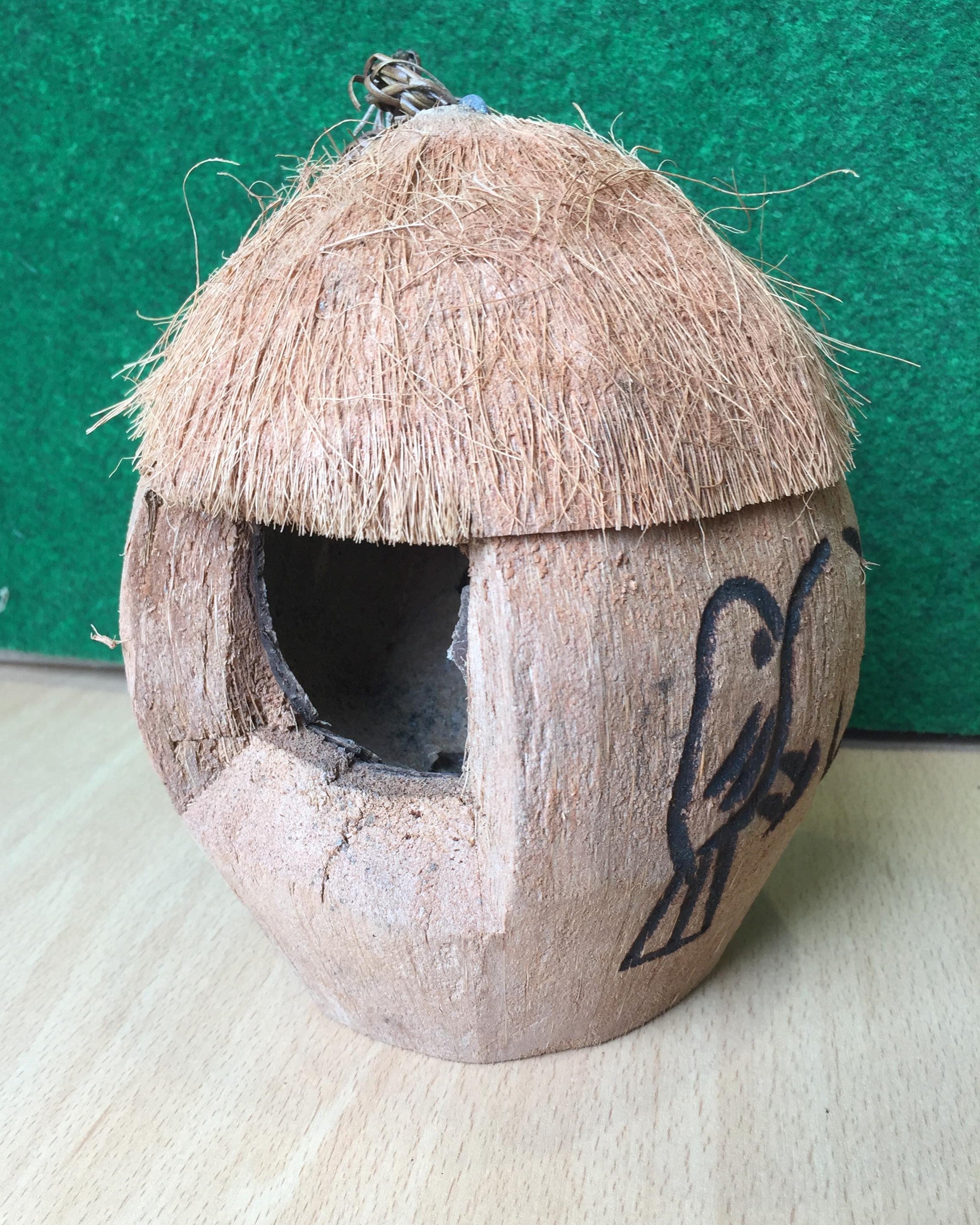 Coconut Bird House