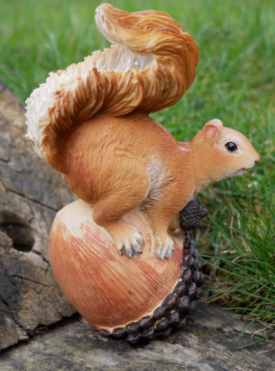 Squirrel On A Nut
