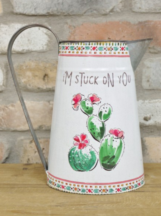 Cactus Jug