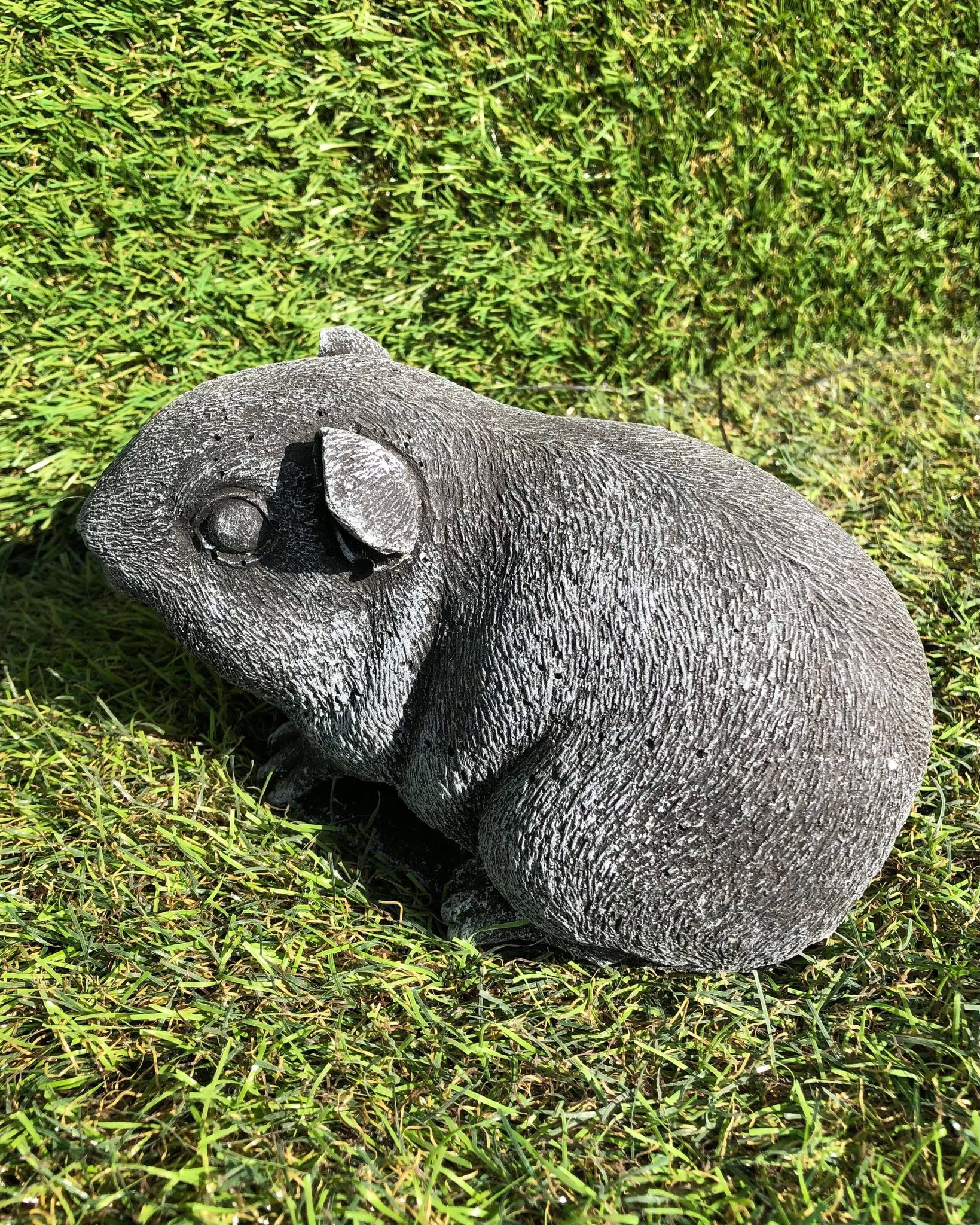 Guinea Pig (Larger Size)