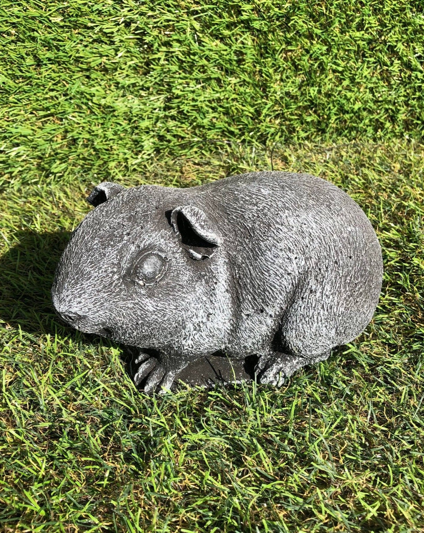 Guinea Pig (Larger Size)