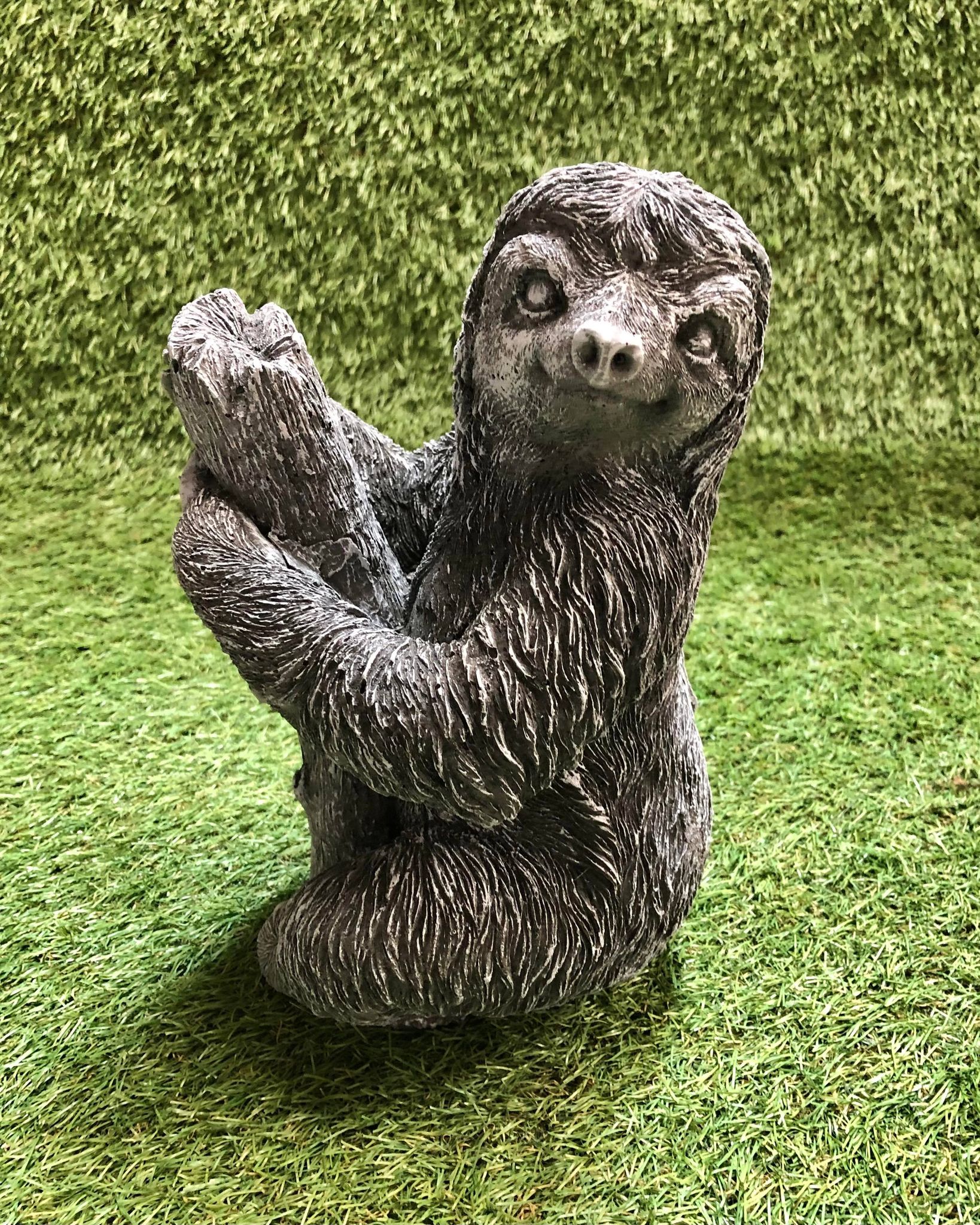Sloth On Branch