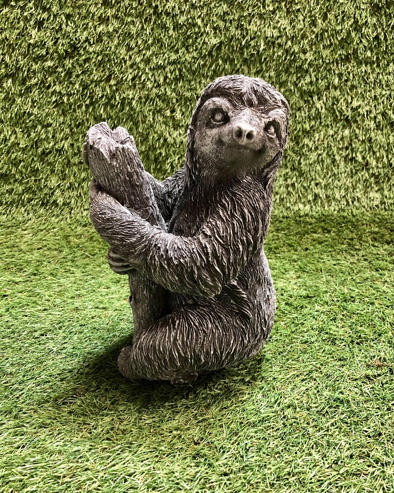 Sloth On Branch