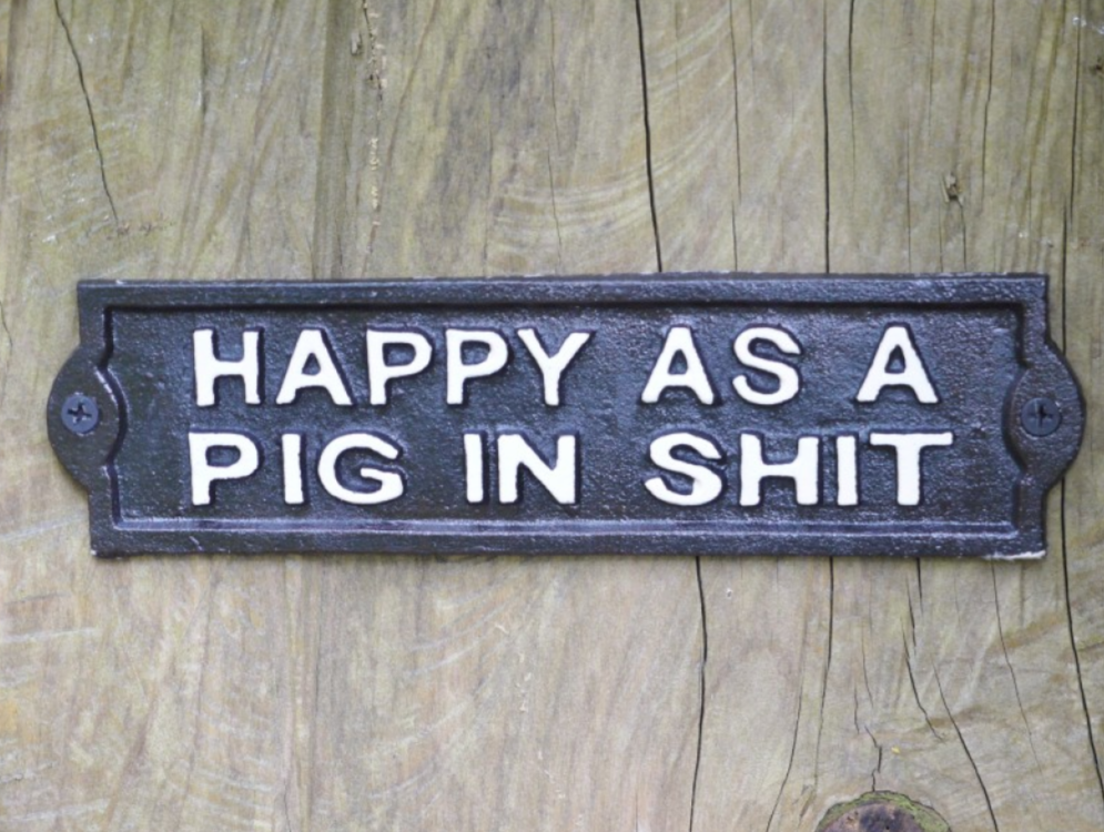 Sign (Happy Pig)