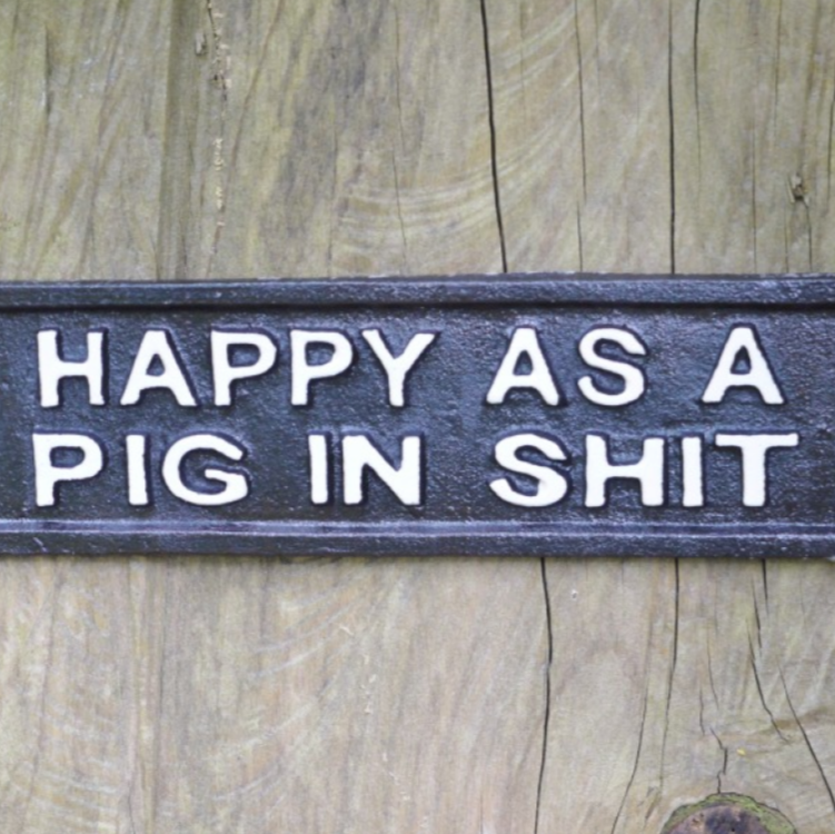 Sign (Happy Pig)