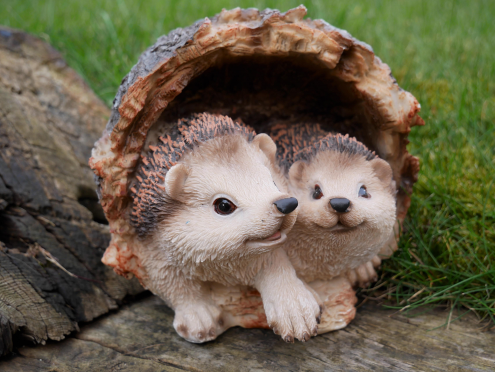 Hedgehogs In Log