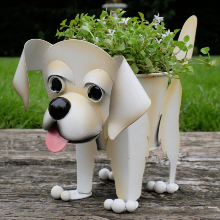 Labrador Planter