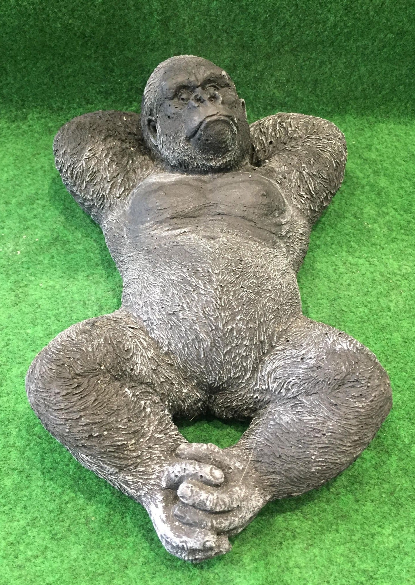 Gorilla Lay Down