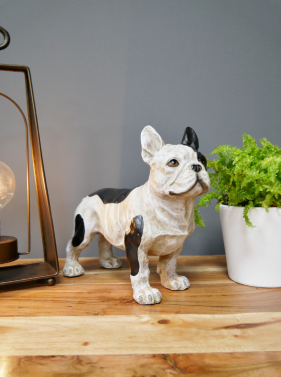 French Bulldog (Standing)