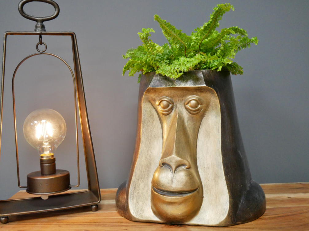 Monkey Head Pot