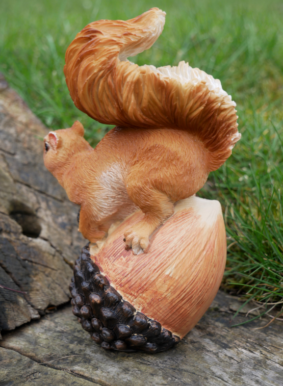 Squirrel On A Nut