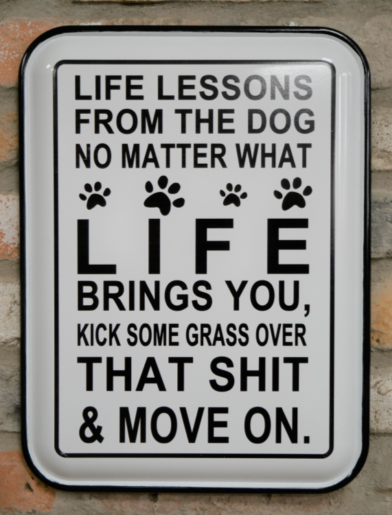 Sign "Life Lessons From The Dog"