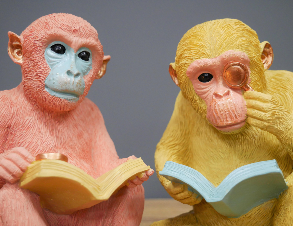 Monkey Book Ends
