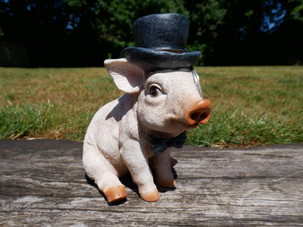 Pig With Monocle