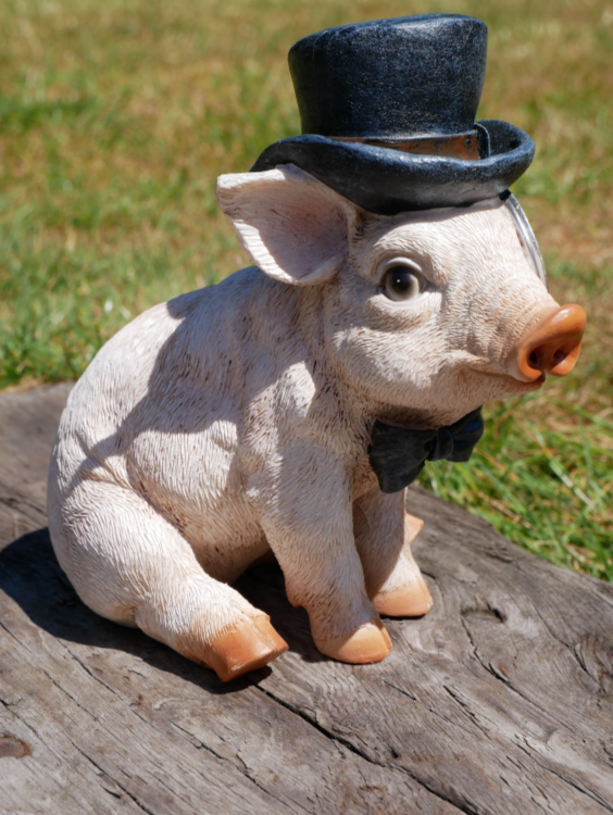 Pig With Monocle