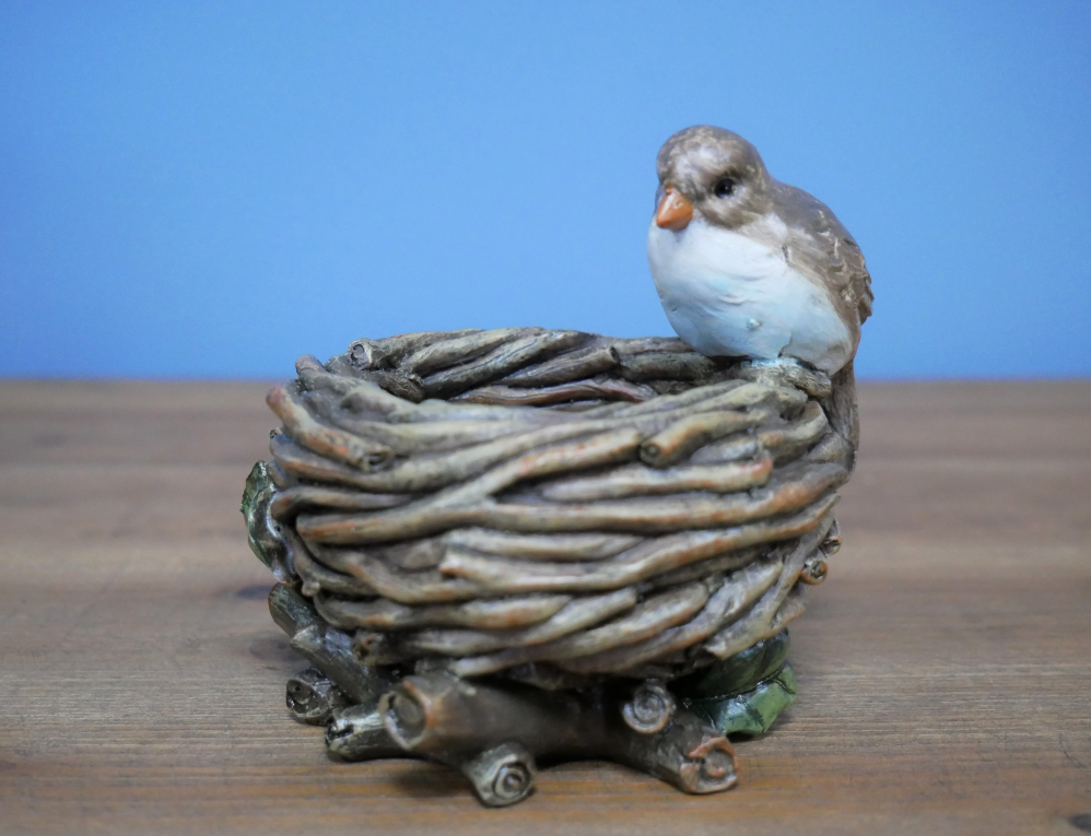 Bird Nest Bowl