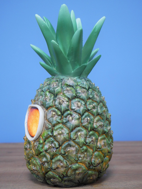 Pineapple With Shades