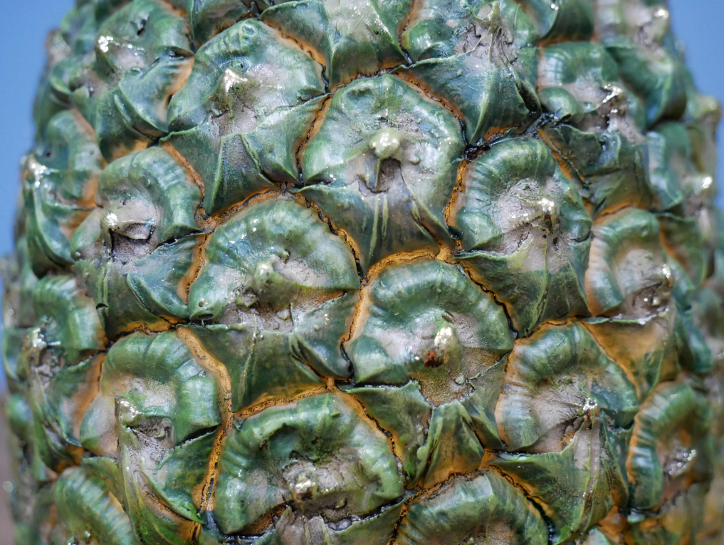 Pineapple With Shades