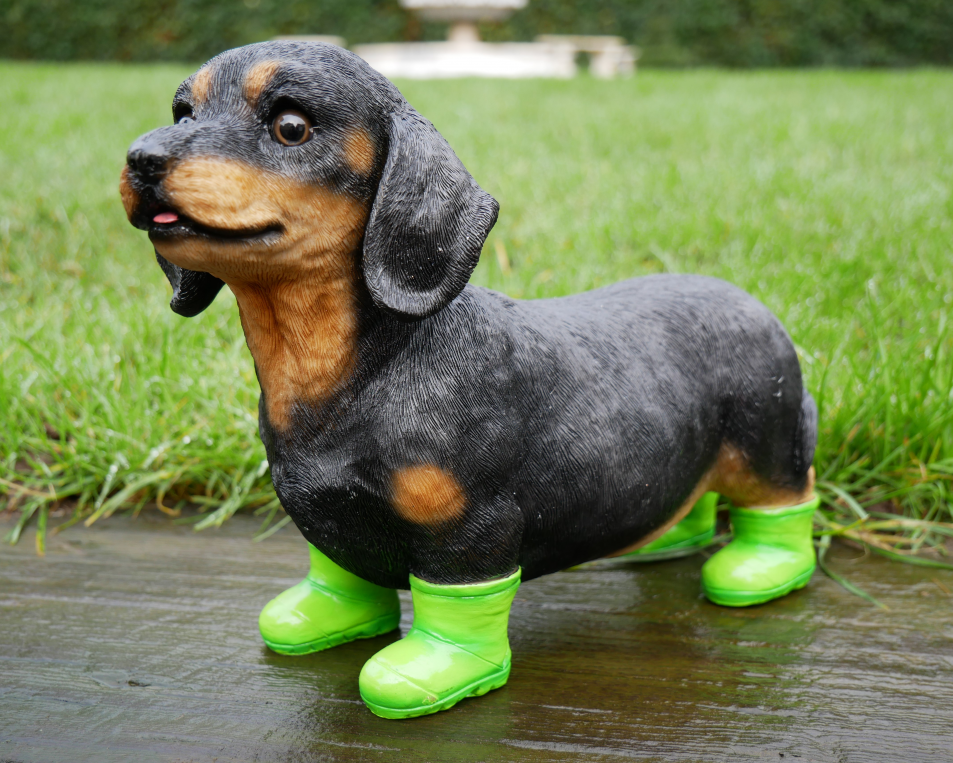 Dog In Boots